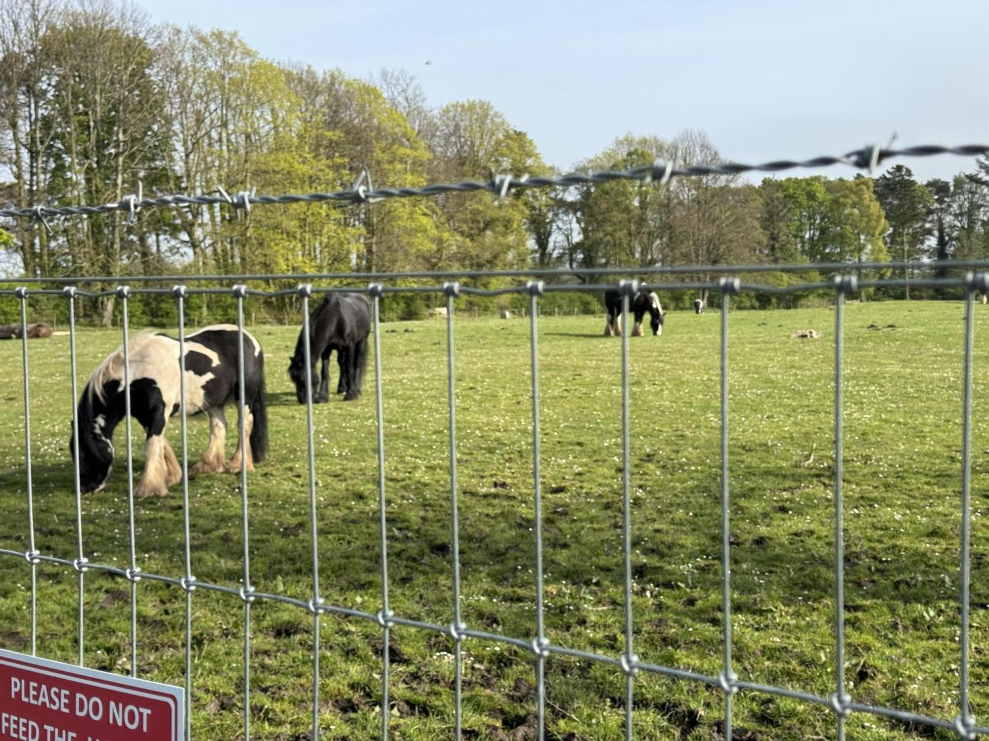 Pony Gate Caravan On Haggerstone Castle West Lawn Berwick Upon Tweed Luaran gambar