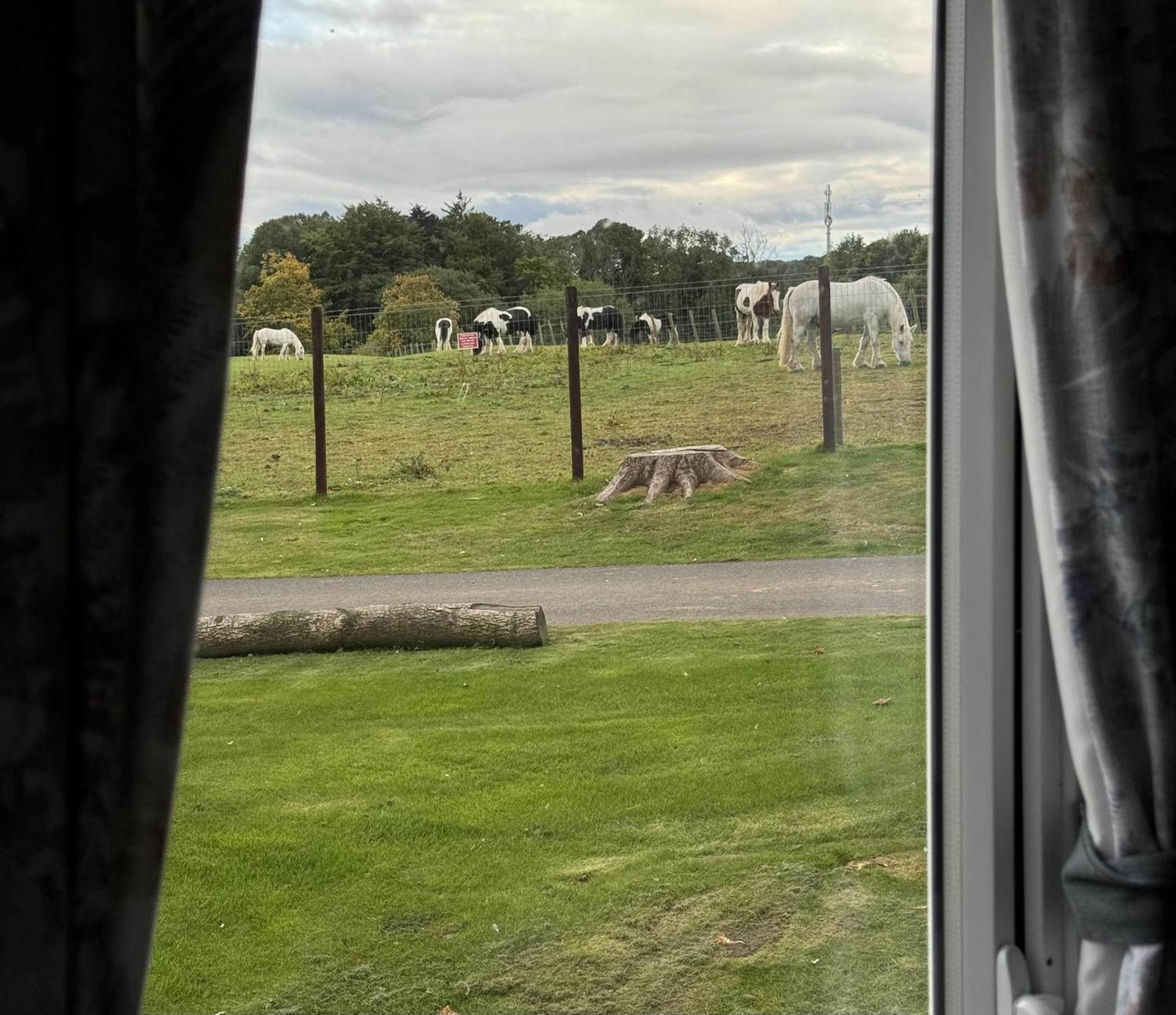 Pony Gate Caravan On Haggerstone Castle West Lawn Berwick Upon Tweed Luaran gambar